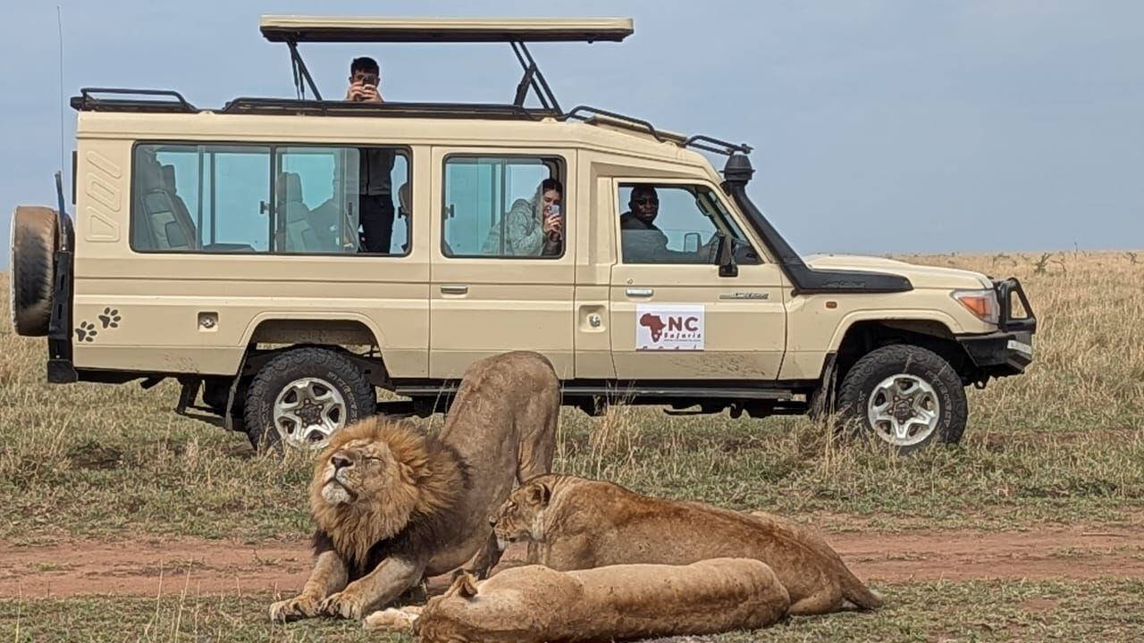 NC Safaris — Wildlife Adventures & Custom Safaris